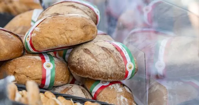 jelentkez&eacute;s a p&eacute;ksz&ouml;vets&eacute;gbe